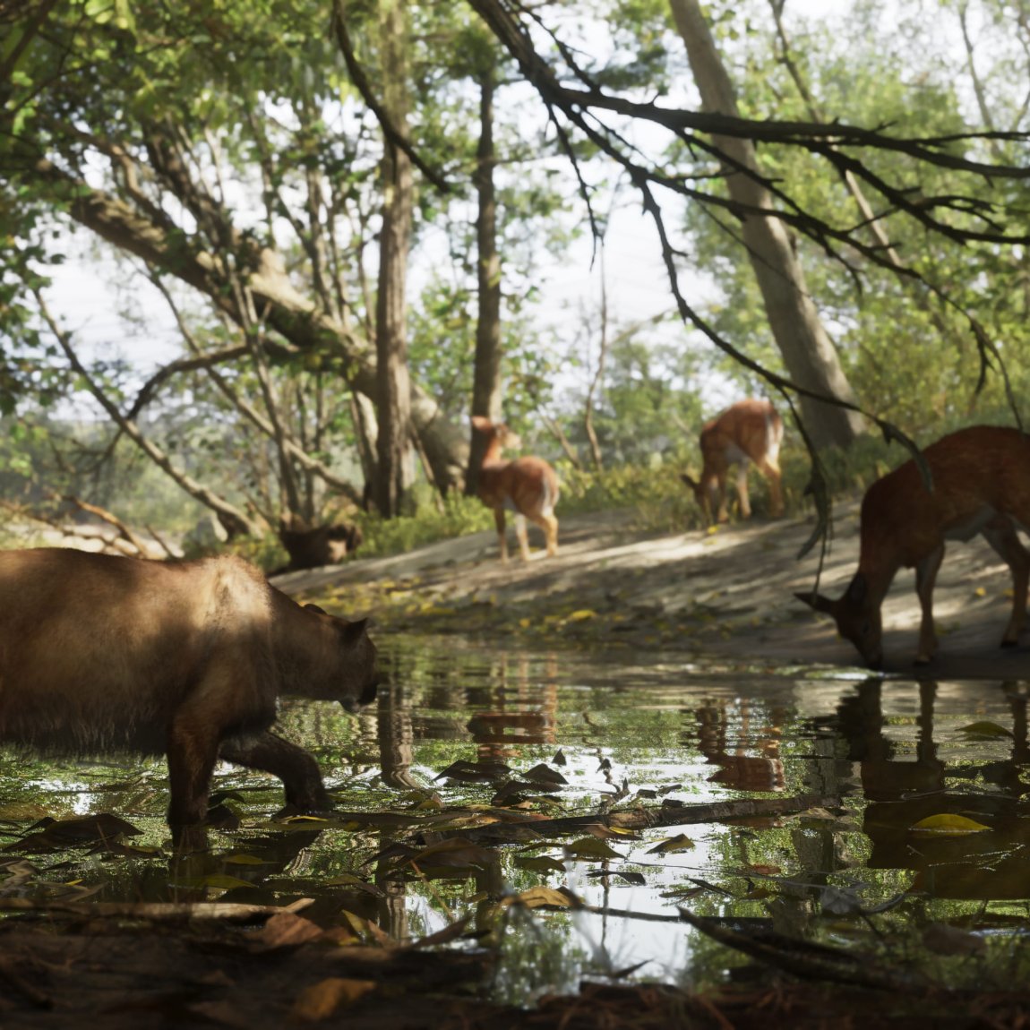 XFCoder :: Title Ladder Gems